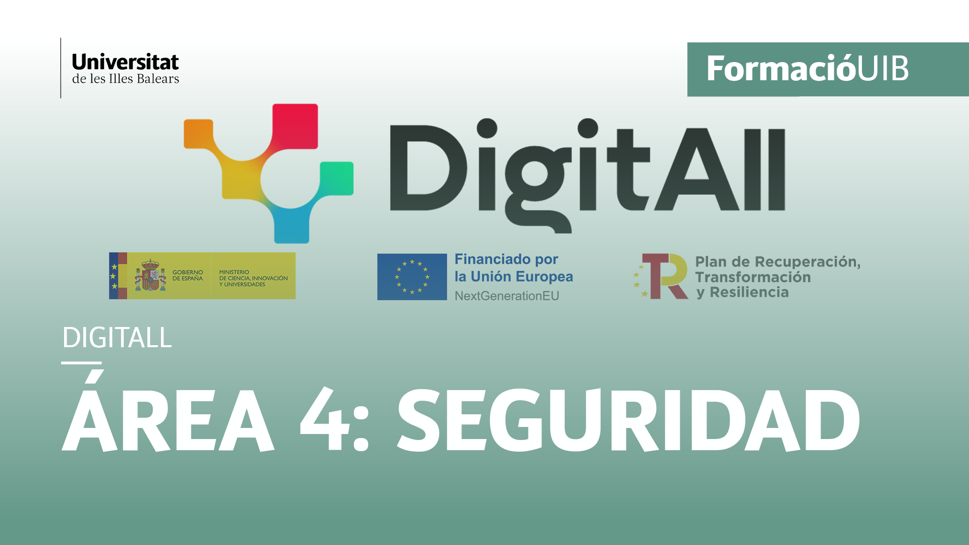 Área 4: Seguridad